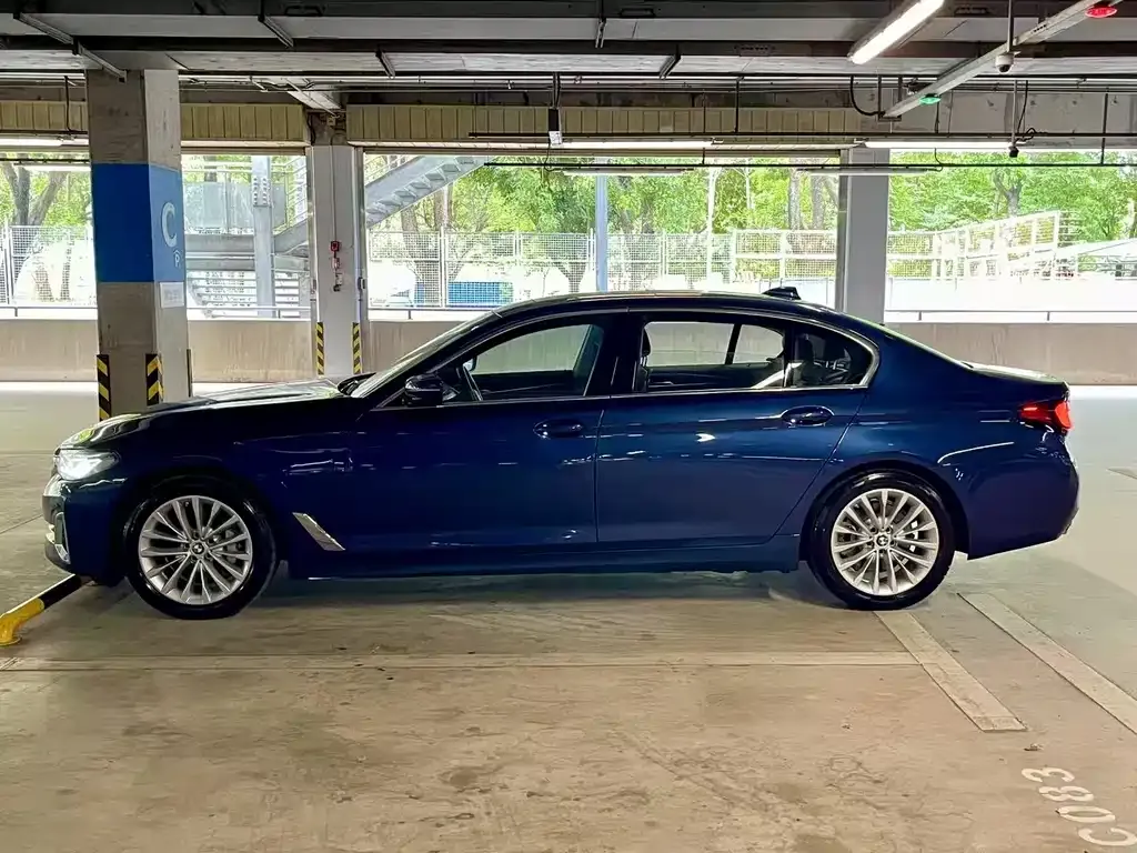 BMW 5 Series New Energy 2021 из CN, фото 8