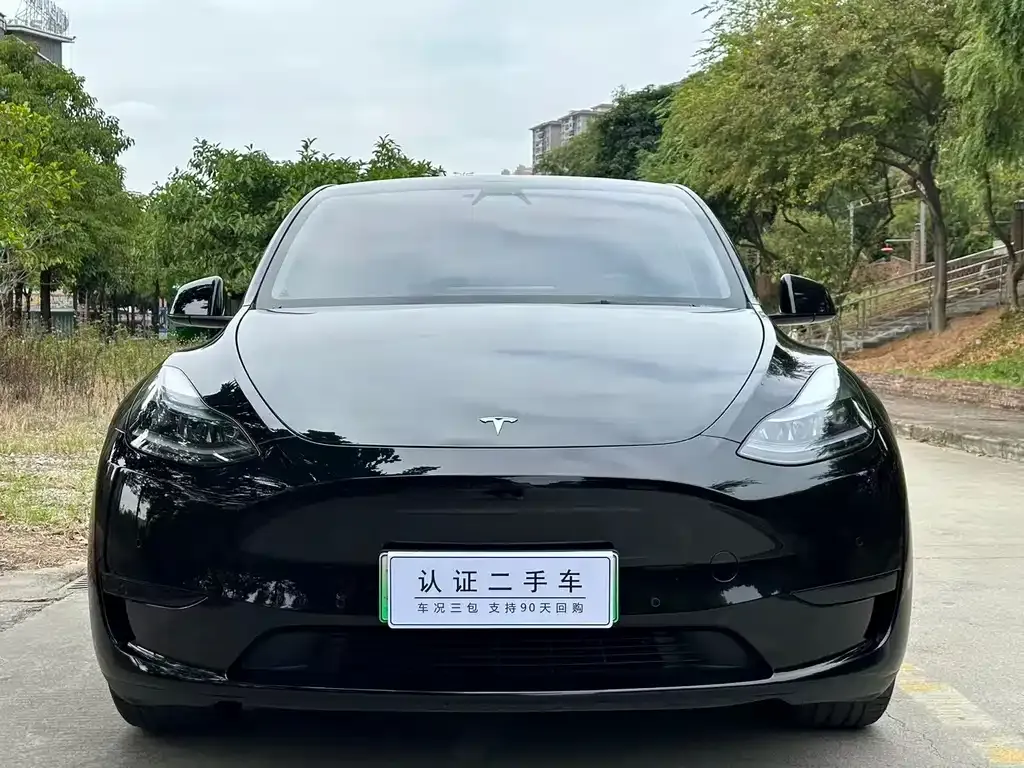 Tesla Model Y — фото 2