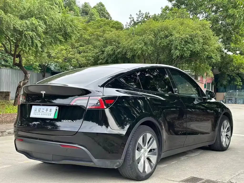 Tesla Model Y — фото 9