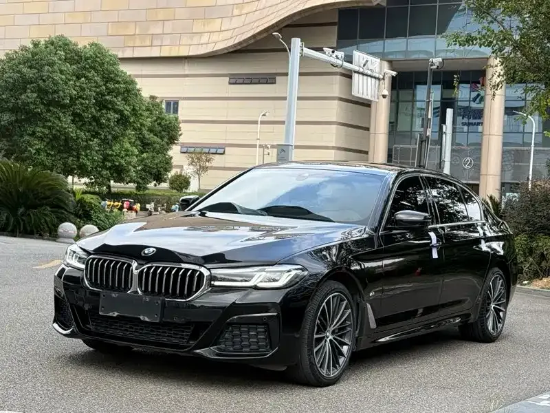 BMW 5 Series 2021 из CN, фото 1