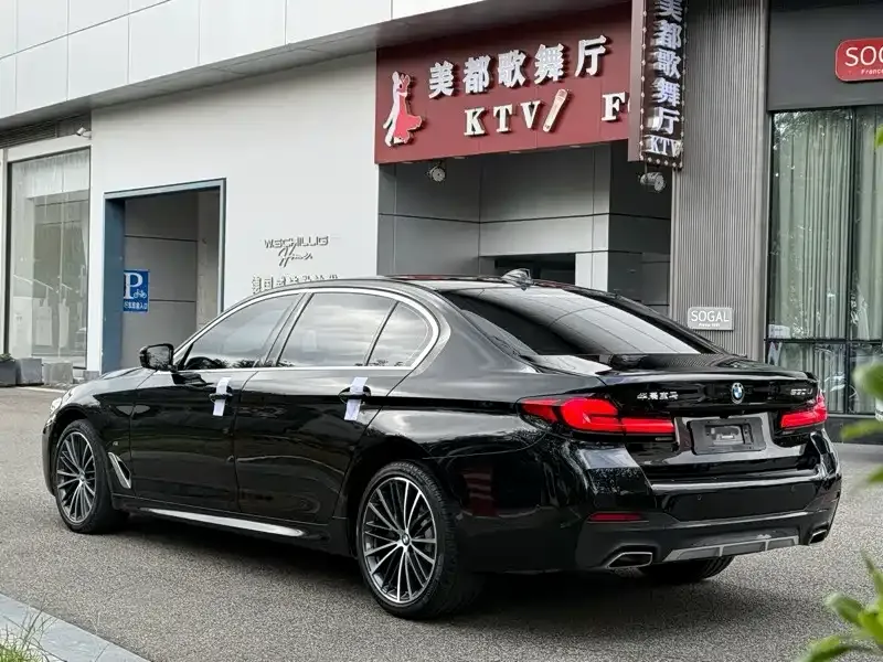 BMW 5 Series 2021 из CN, фото 4