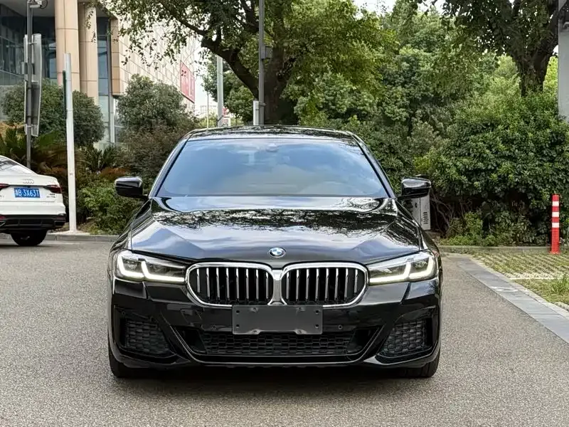 BMW 5 Series 2021 из CN, фото 5