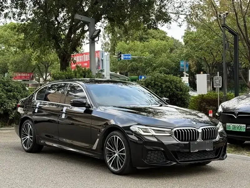 BMW 5 Series 2021 из CN, фото 6