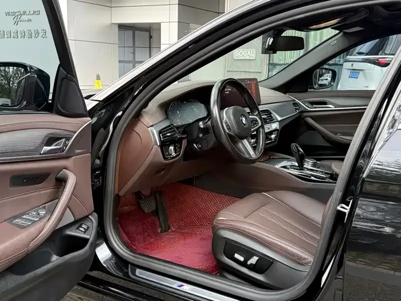 BMW 5 Series 2021 из CN, фото 7