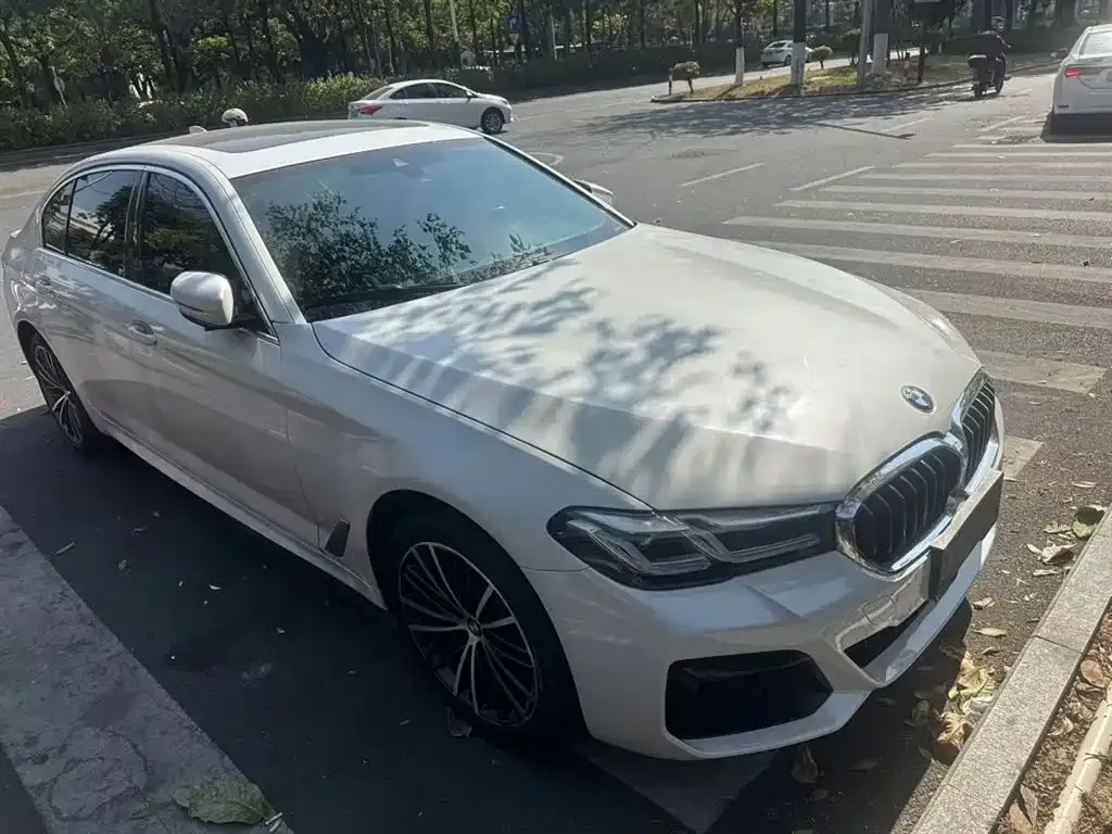 BMW 5 Series 2022 из CN, фото 1