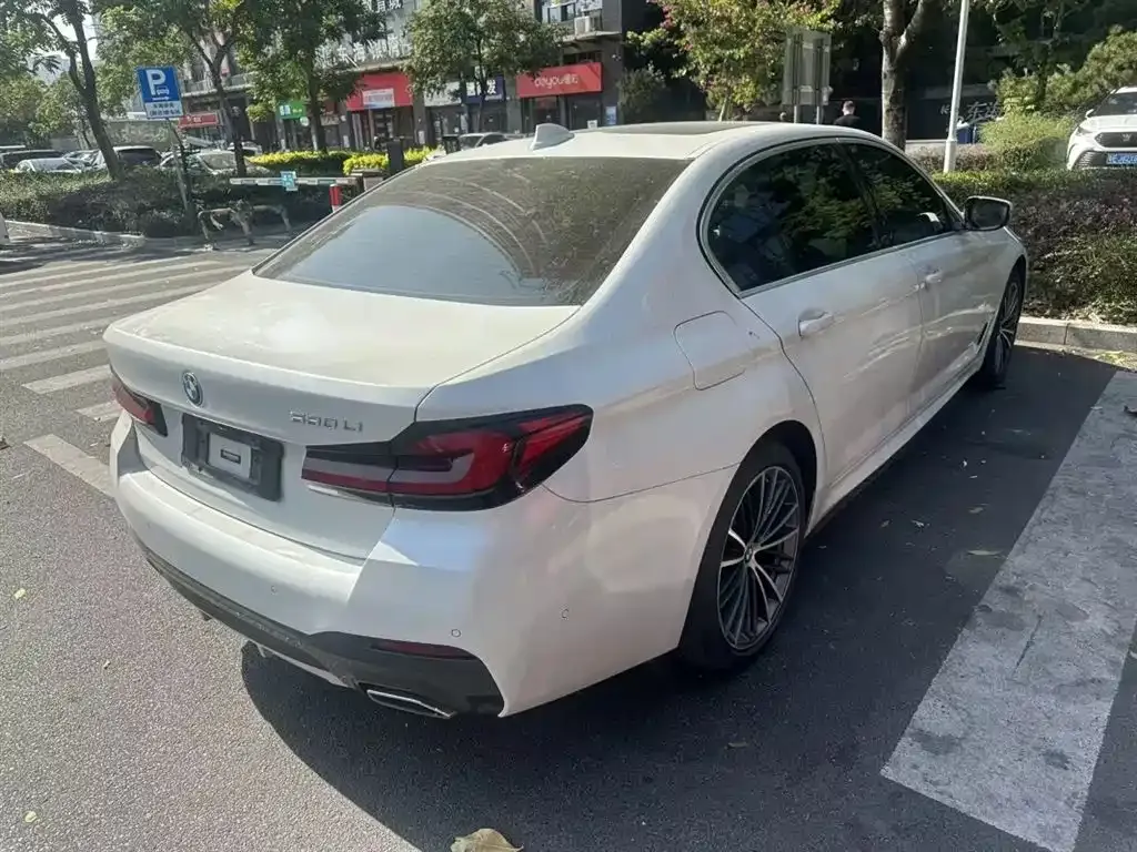 BMW 5 Series 2022 из CN, фото 4