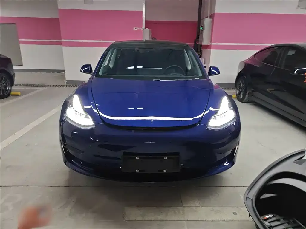 Tesla Model 3 2021 из CN, фото 3