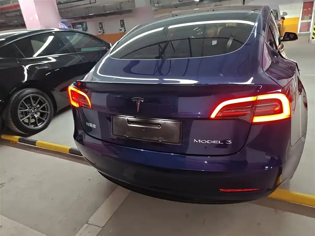 Tesla Model 3 2021 из CN, фото 6