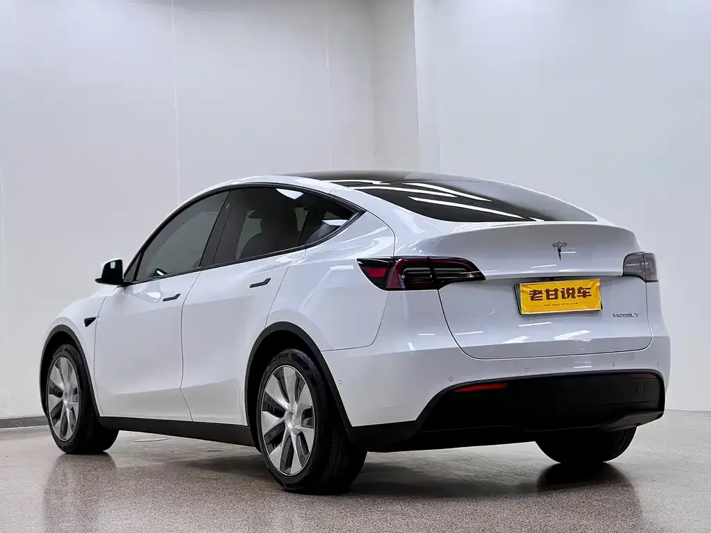 Tesla Model Y 2023 из CN, фото 5