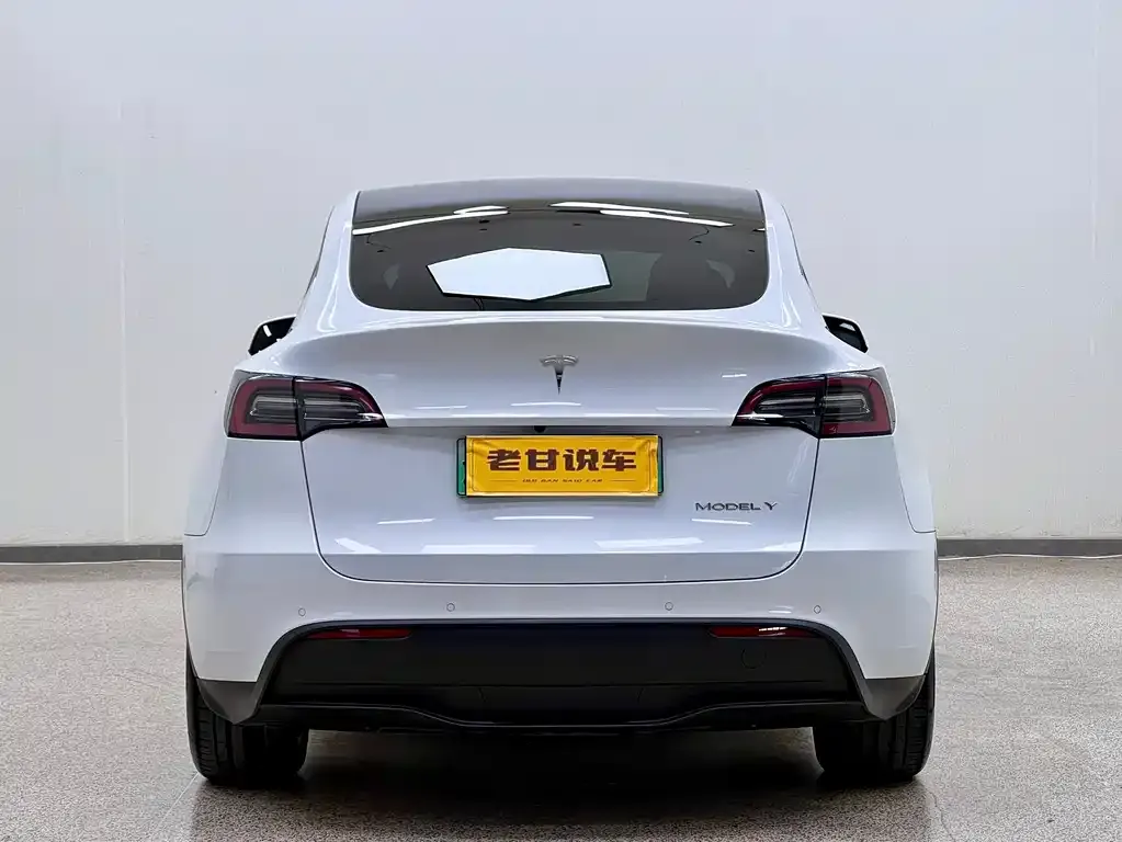 Tesla Model Y 2023 из CN, фото 6