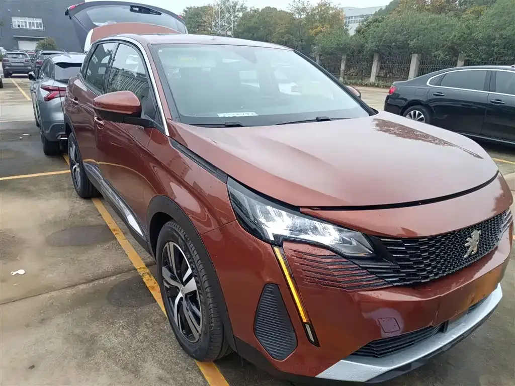 Peugeot 4008 2024 из CN, фото 4