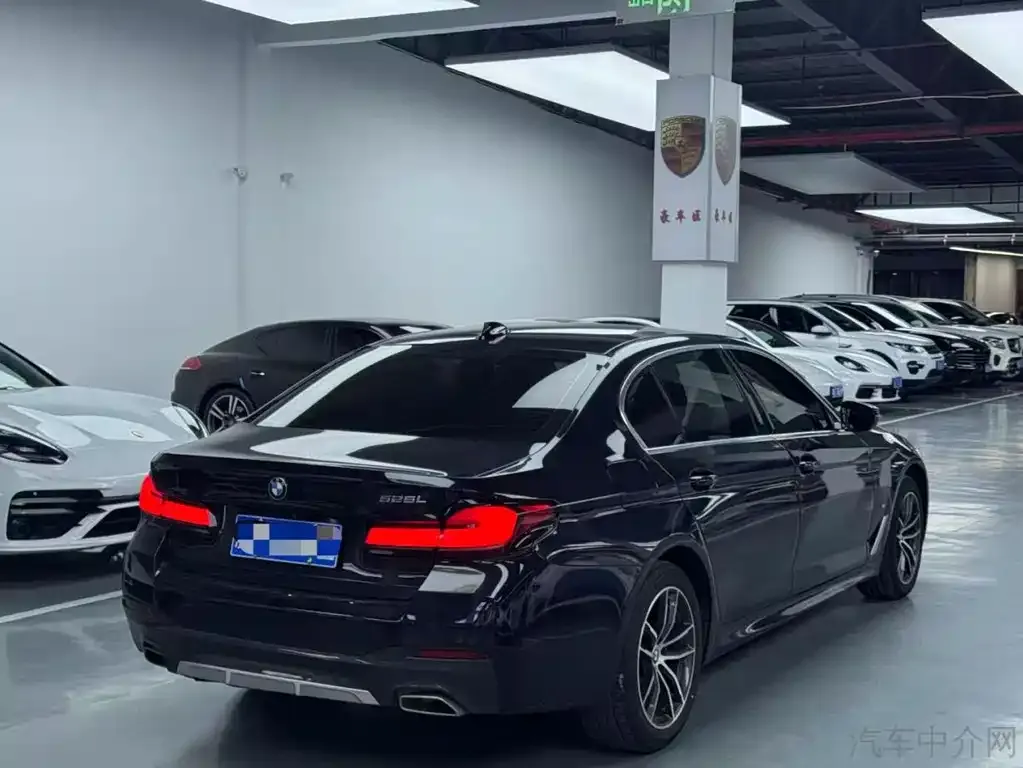 BMW 5 Series 2022 из CN, фото 8