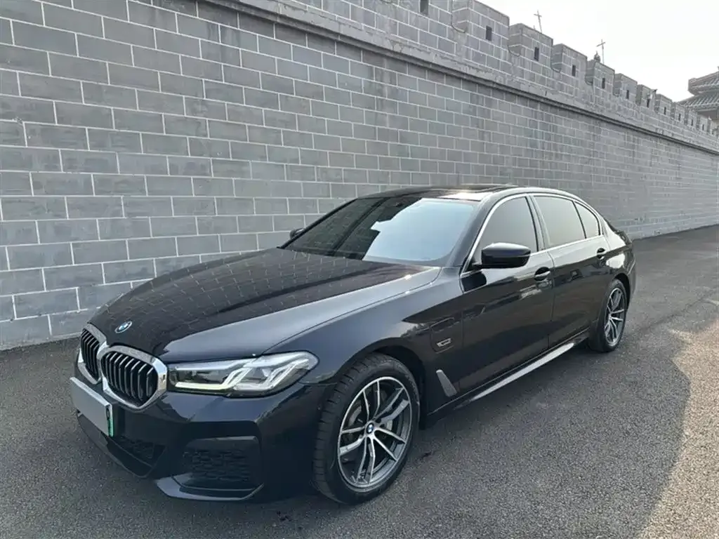 BMW 5 Series New Energy 2022 из CN, фото 1