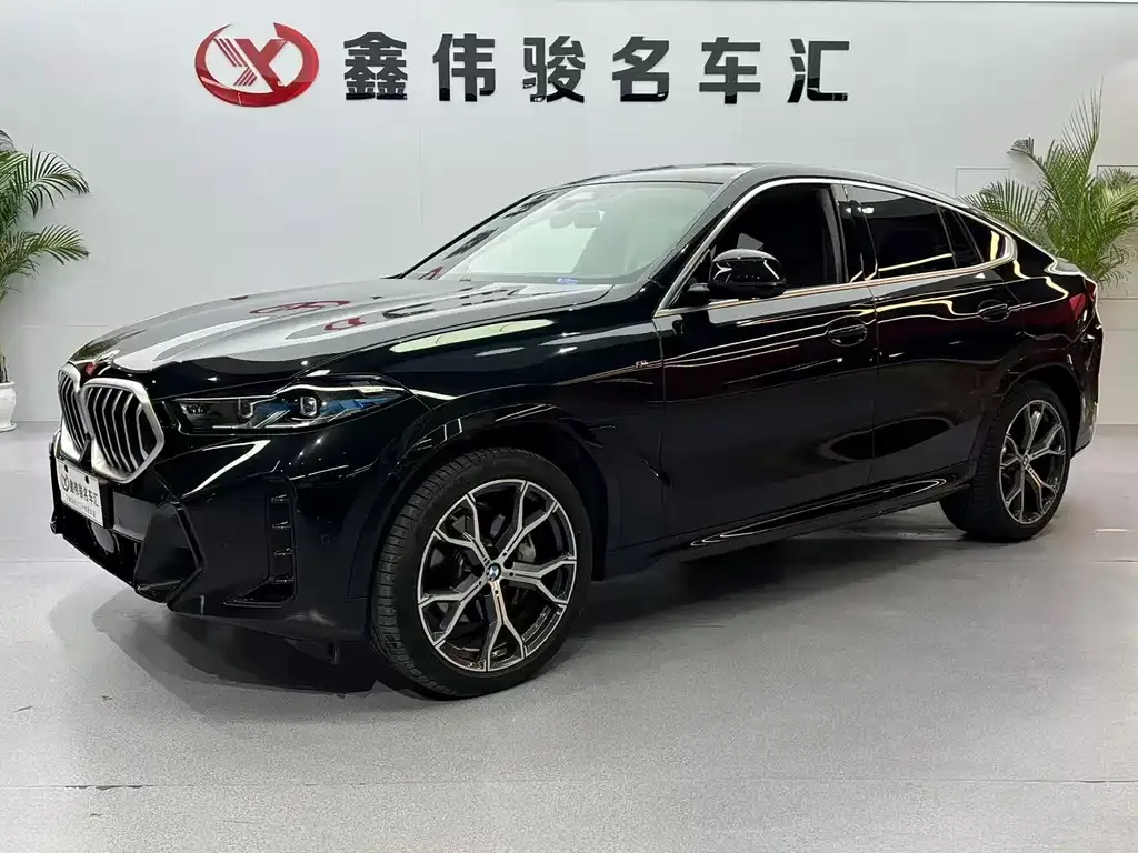BMW X6 2024 из CN, фото 2