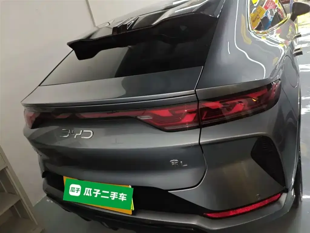 BYD L EV 2024 из CN, фото 6