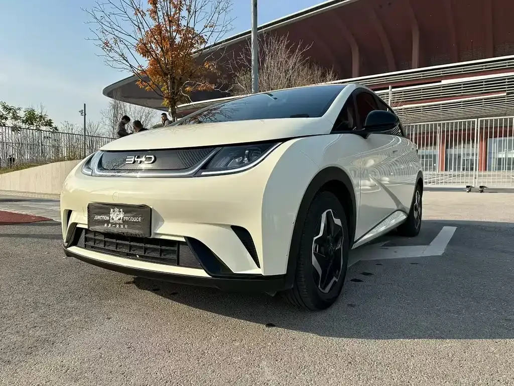 BYD Dolphin 2024 из CN, фото 1