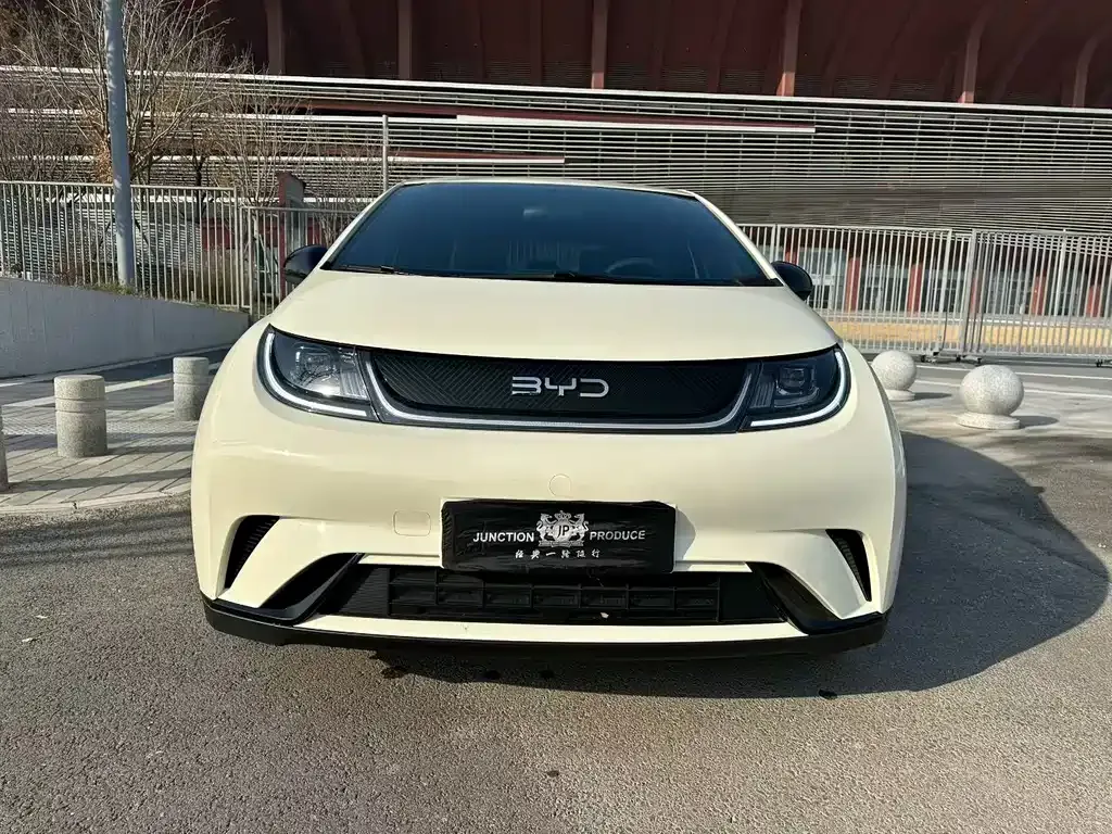 BYD Dolphin 2024 из CN, фото 2