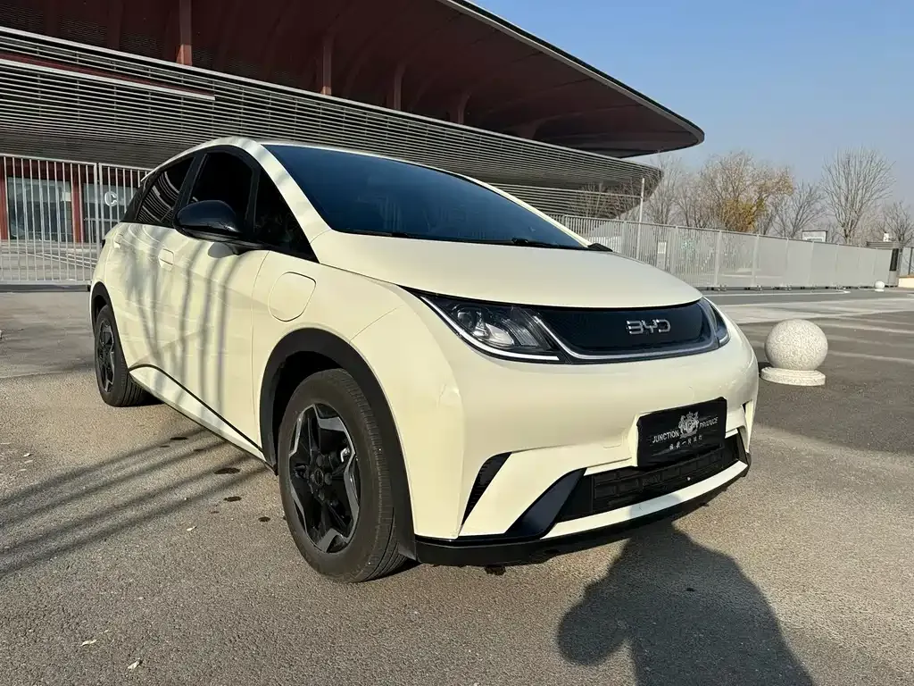 BYD Dolphin 2024 из CN, фото 3
