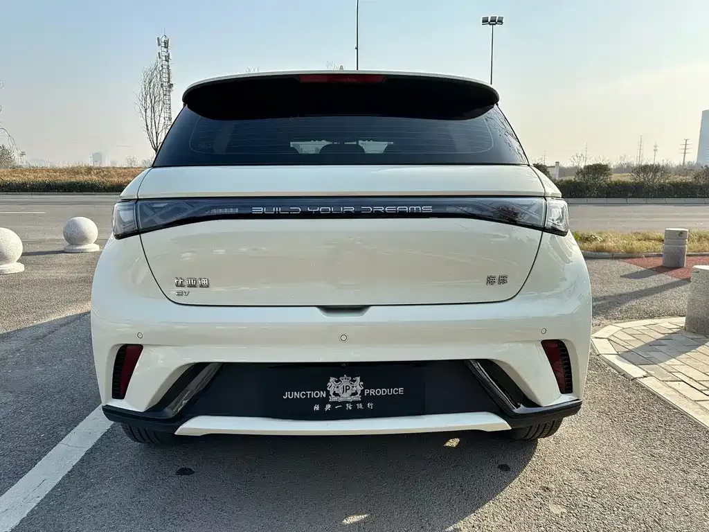 BYD Dolphin 2024 из CN, фото 8