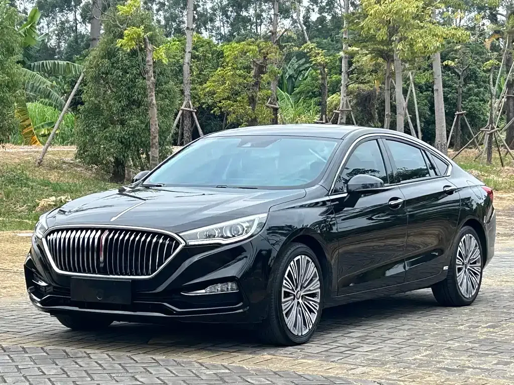 Hongqi H5 2023 из CN, фото 1