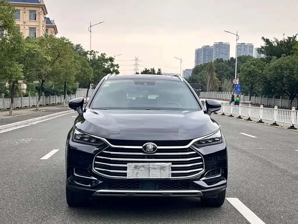 BYD Tang 2021 из CN, фото 3