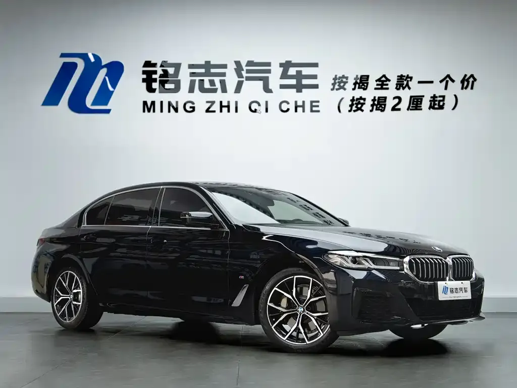 BMW 5 Series 2023 из CN, фото 2