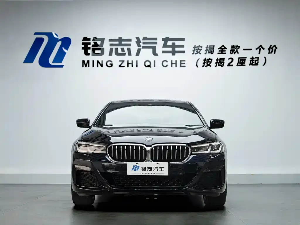 BMW 5 Series 2023 из CN, фото 5