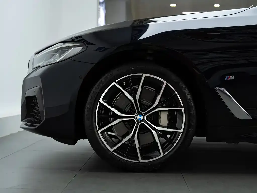 BMW 5 Series 2023 из CN, фото 8