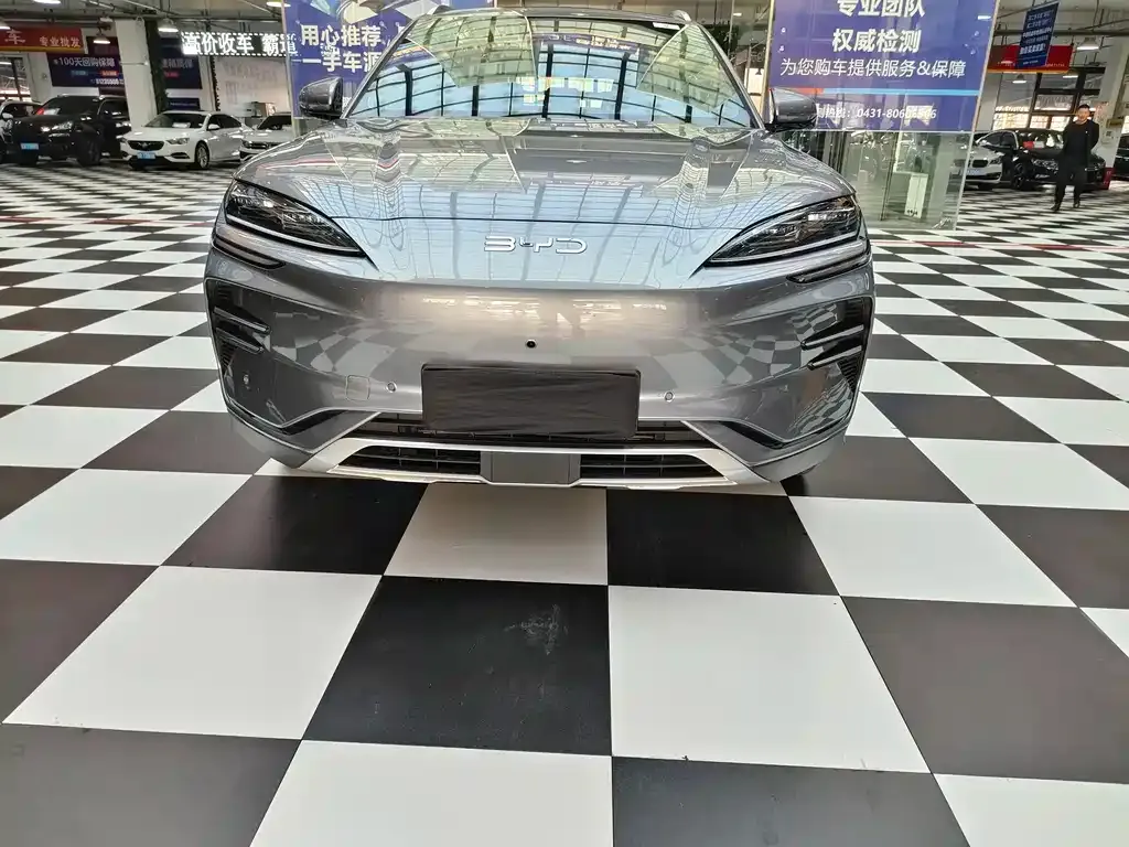 BYD PLUS New Energy 2025 из CN, фото 2