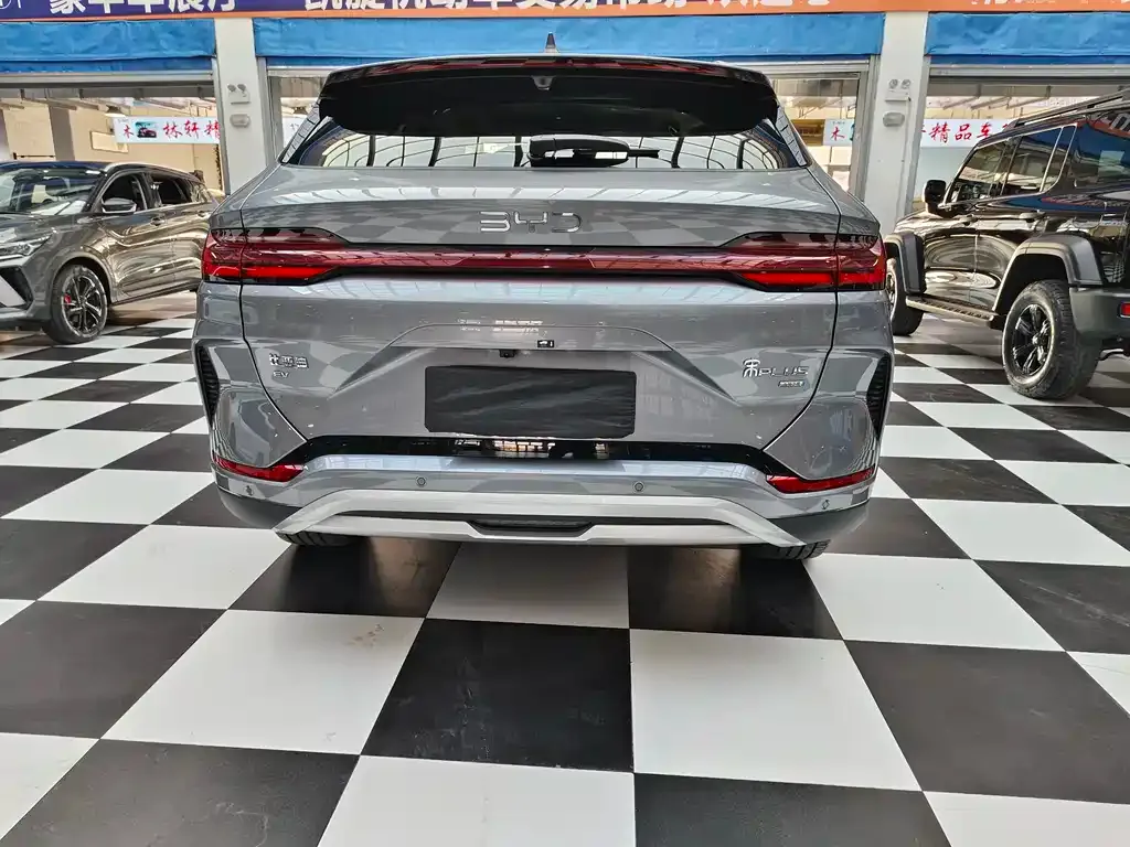 BYD PLUS New Energy 2025 из CN, фото 5
