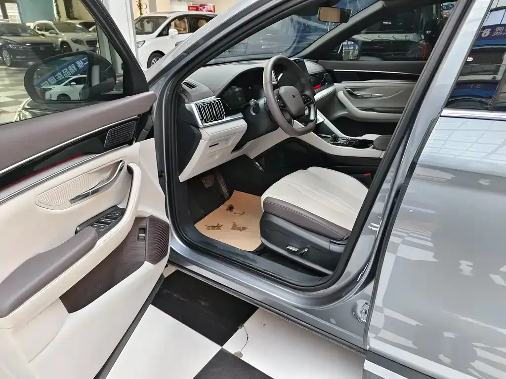 BYD PLUS New Energy 2025 из CN, фото 8