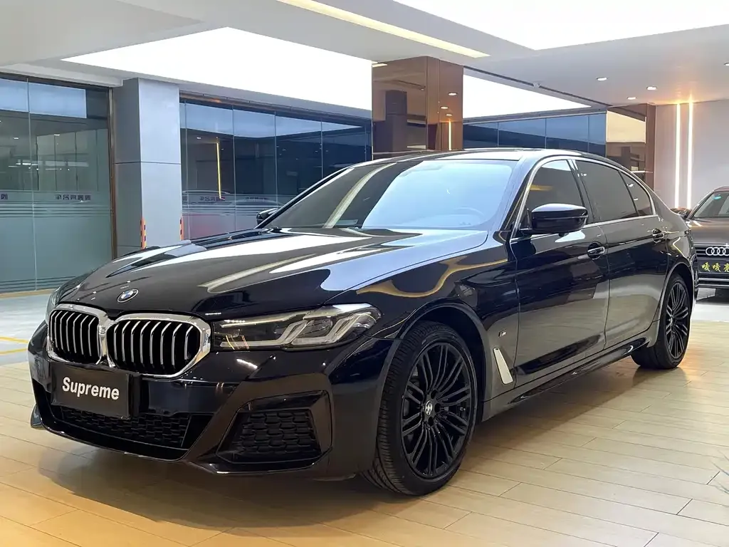 BMW 5 Series 2021 из CN, фото 1
