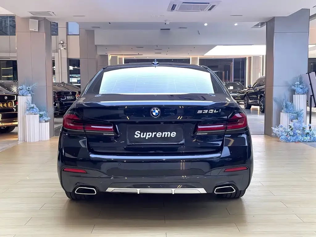 BMW 5 Series 2021 из CN, фото 10