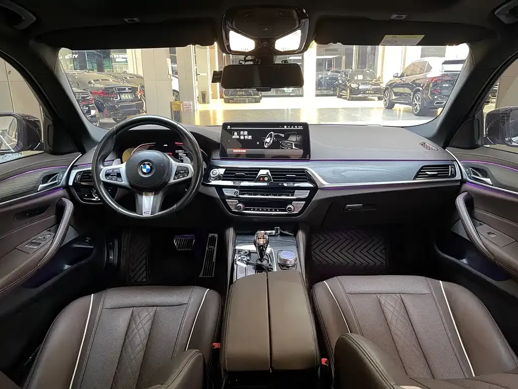 BMW 5 Series 2021 из CN, фото 5
