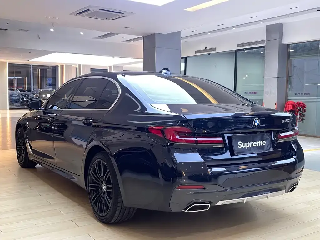 BMW 5 Series 2021 из CN, фото 9