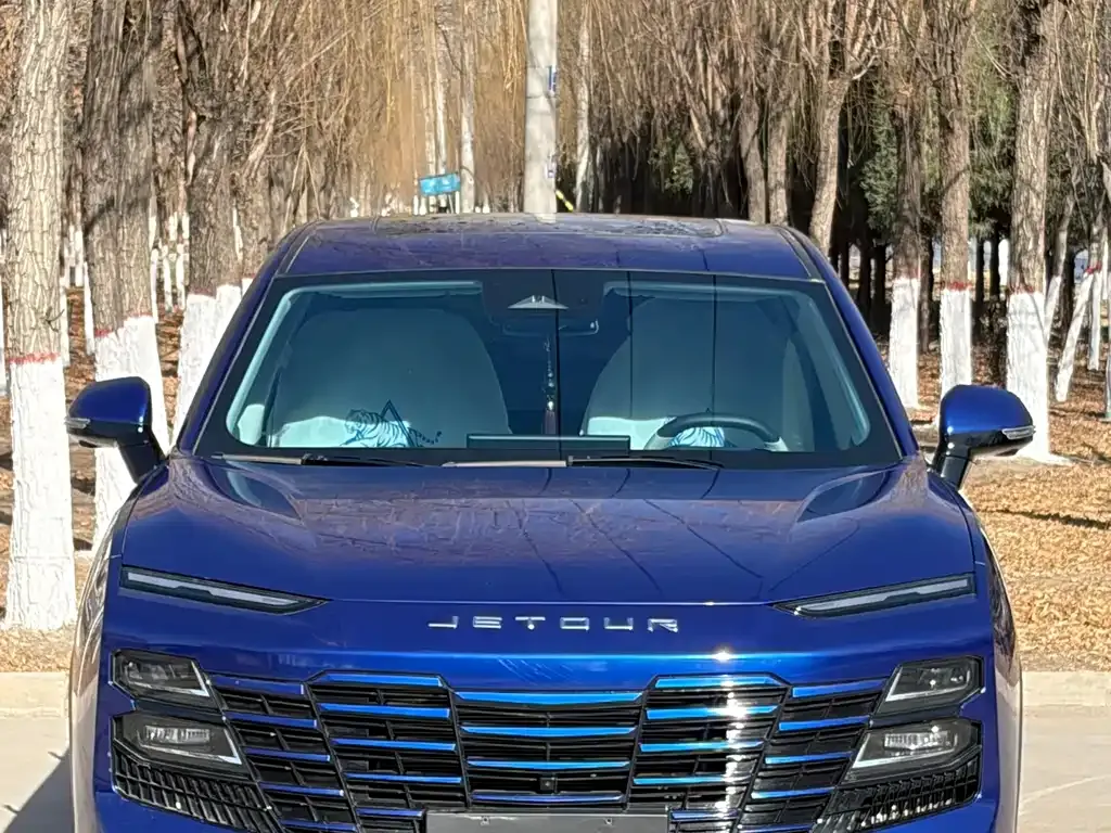 Jetour Dasheng i-DM 2024 из CN, фото 3
