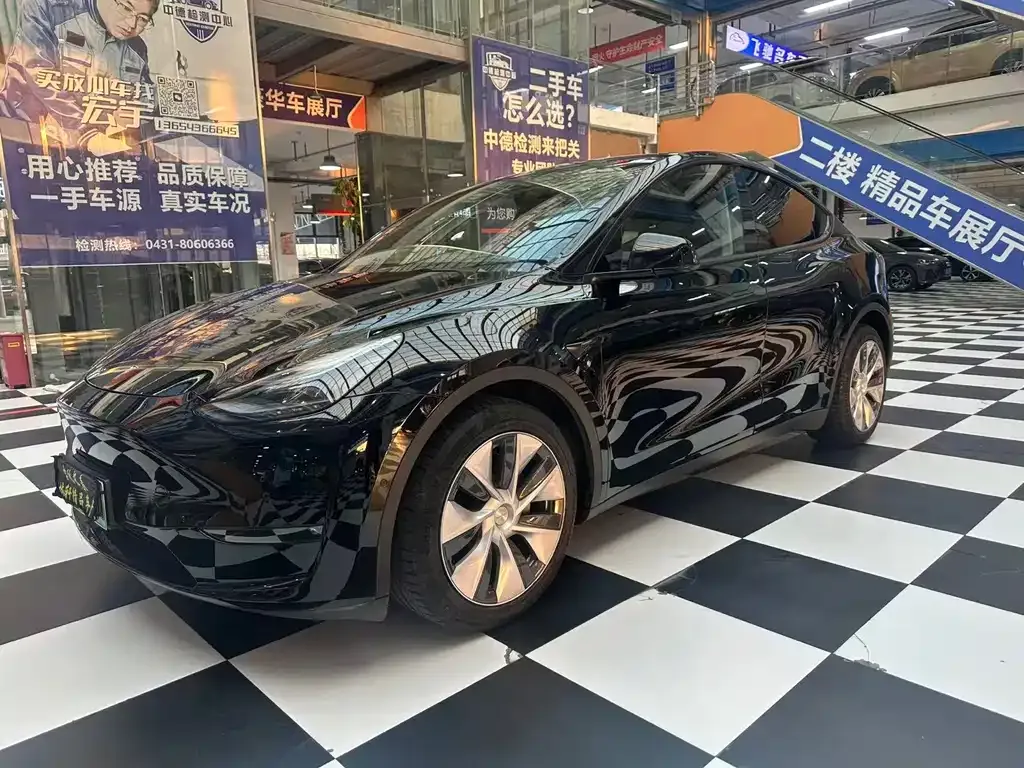 Tesla Model Y 2021 из CN, фото 1