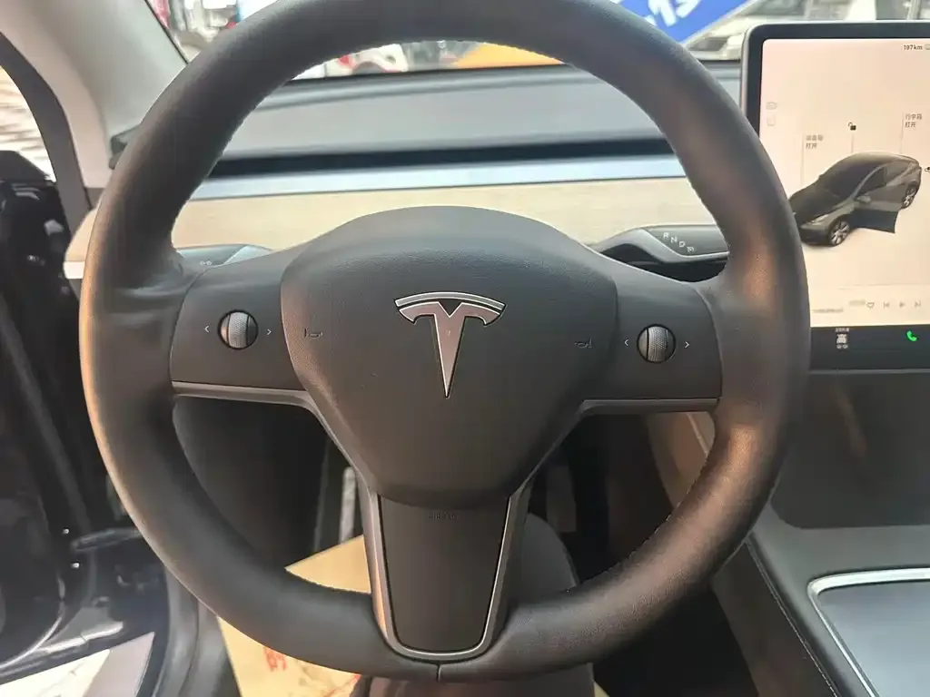 Tesla Model Y 2021 из CN, фото 10