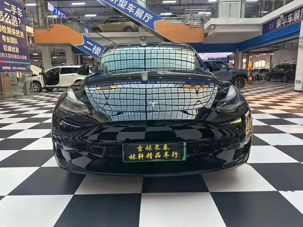 Tesla Model Y 2021 из CN, фото 2