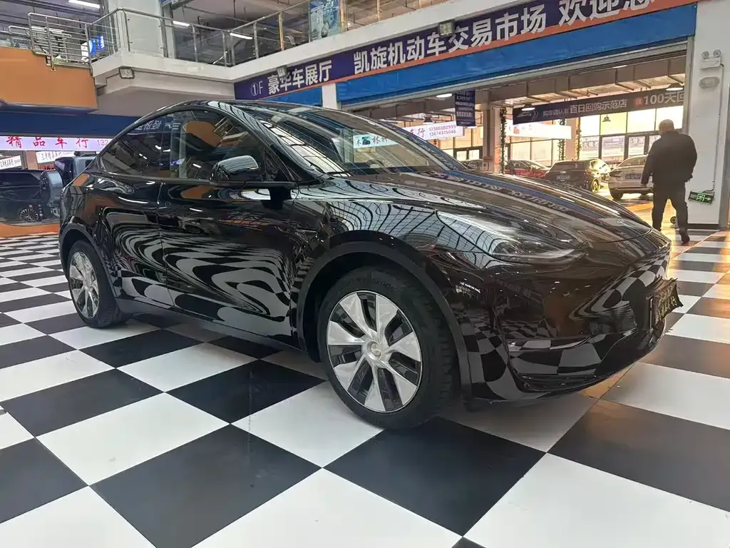 Tesla Model Y 2021 из CN, фото 3