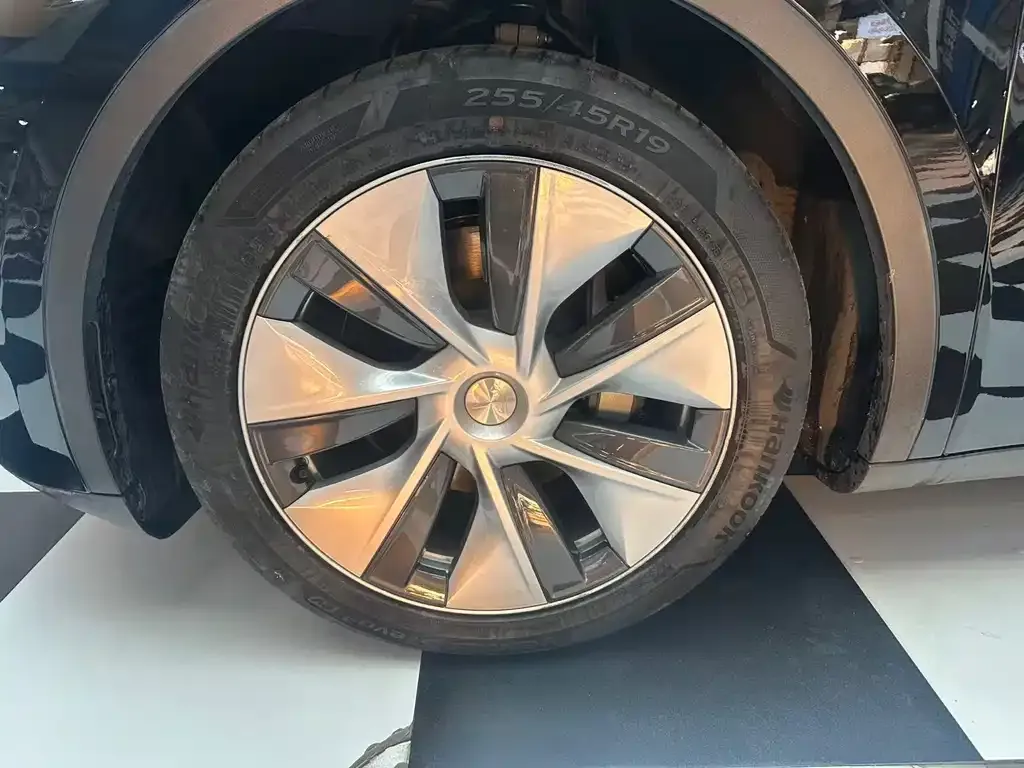 Tesla Model Y 2021 из CN, фото 5
