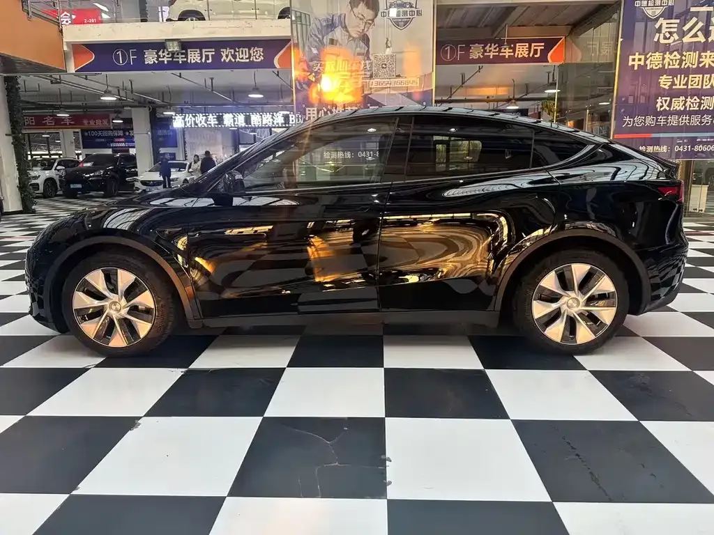 Tesla Model Y 2021 из CN, фото 6