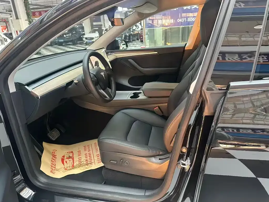Tesla Model Y 2021 из CN, фото 7