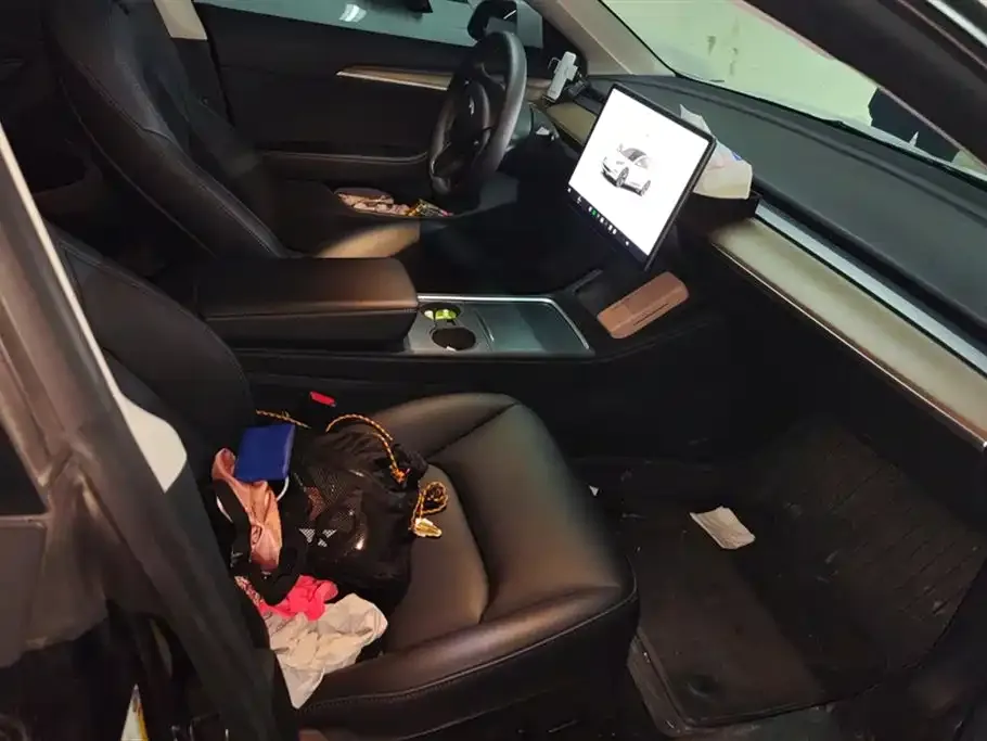 Tesla Model 3 2023 из CN, фото 8