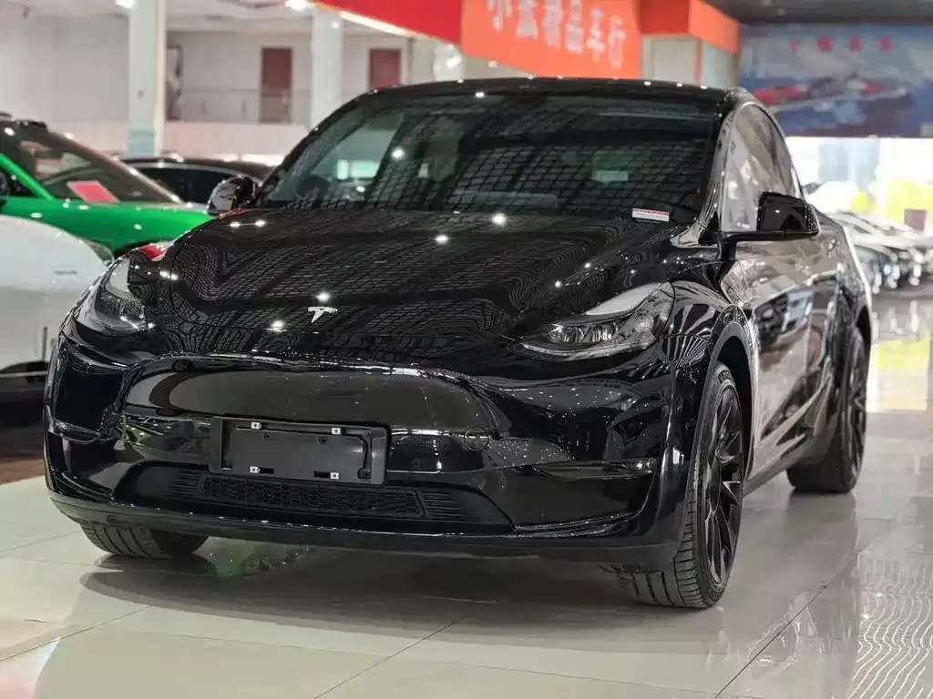 Tesla Model Y 2021 из CN, фото 1