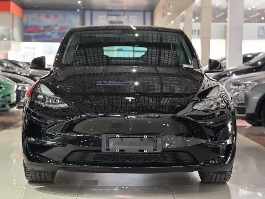 Tesla Model Y 2021 из CN, фото 2