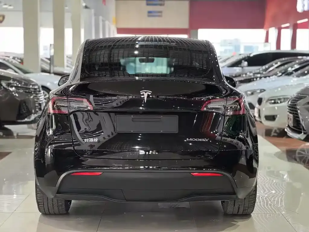Tesla Model Y 2021 из CN, фото 3