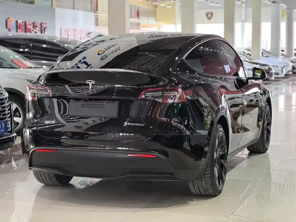Tesla Model Y 2021 из CN, фото 4