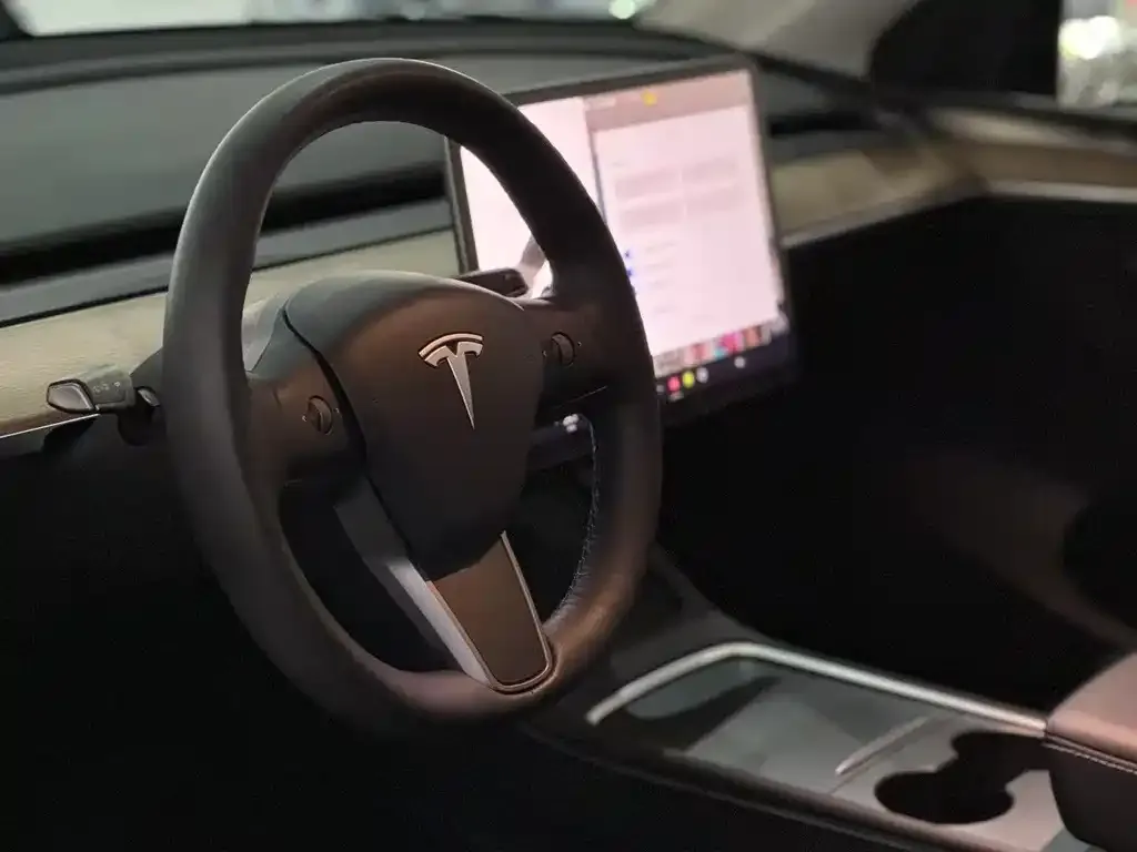 Tesla Model Y 2021 из CN, фото 5