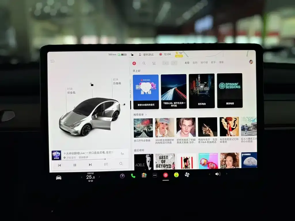 Tesla Model Y 2021 из CN, фото 9